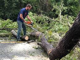 Best Storm Damage Tree Cleanup  in Kersey, CO